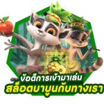 g68ทางเข้า